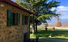 Borgo Benedetto
